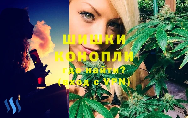 индика Алзамай