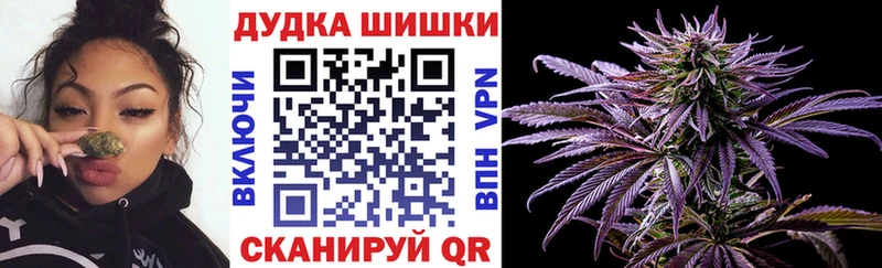 Марихуана ГИДРОПОН  как найти закладки  Сокол 